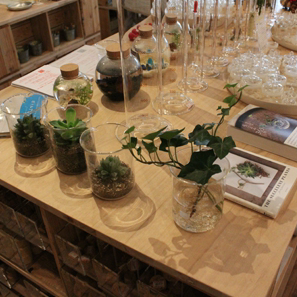 リカシツ 関谷理化 清澄白河 店舗