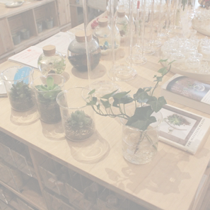 リカシツ 関谷理化 清澄白河 店舗