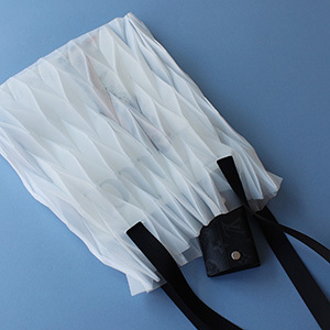 zero ゼロ ウインセス 香川県