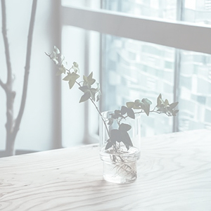 リカシツ リカロマ キャンドル