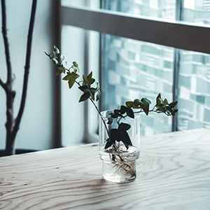 リカシツ リカロマ キャンドル