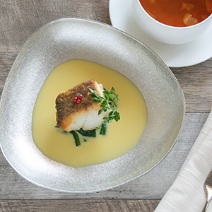 能作 nousaku 富山 ぐい呑 錫