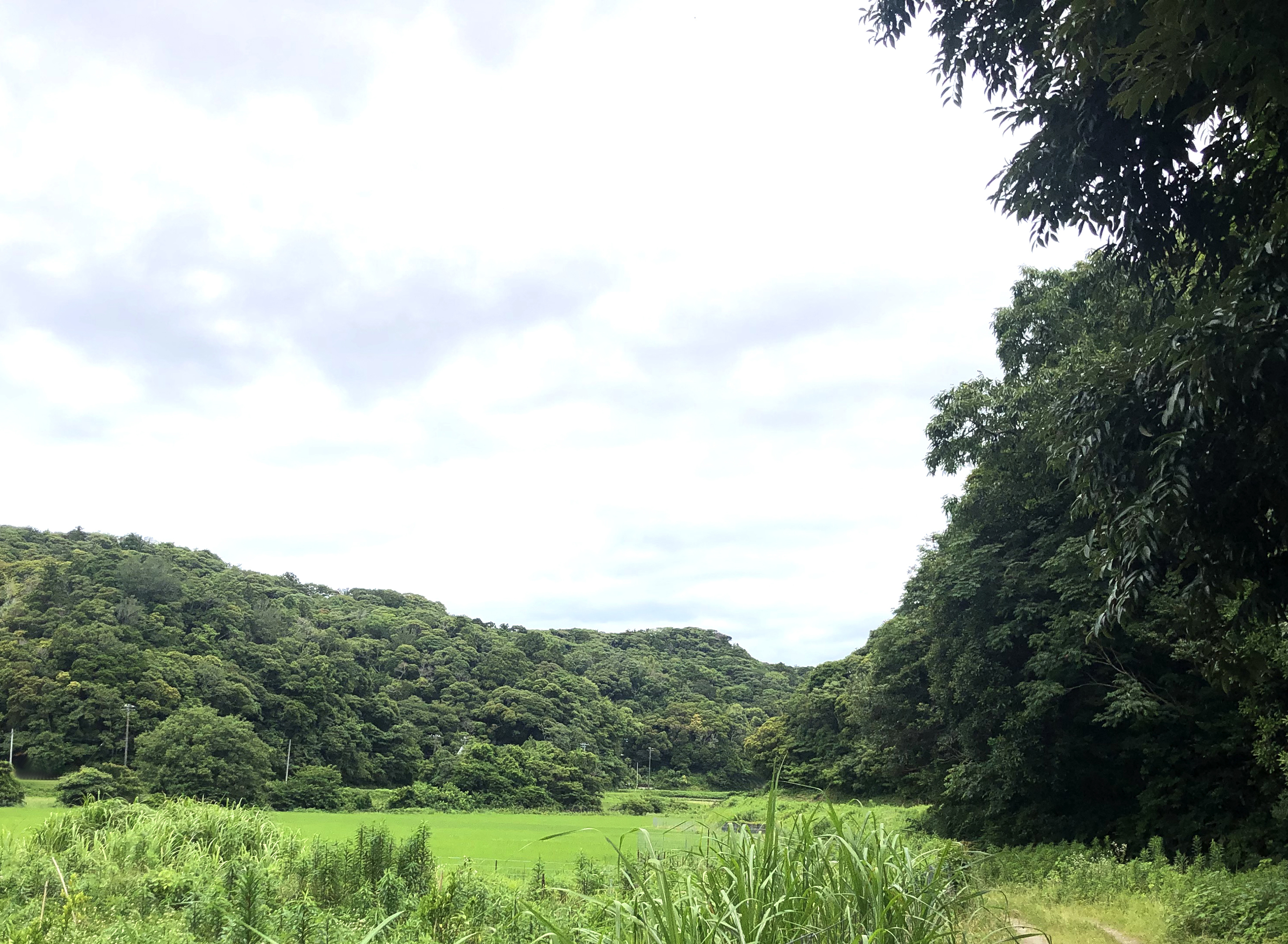 SANKAKU