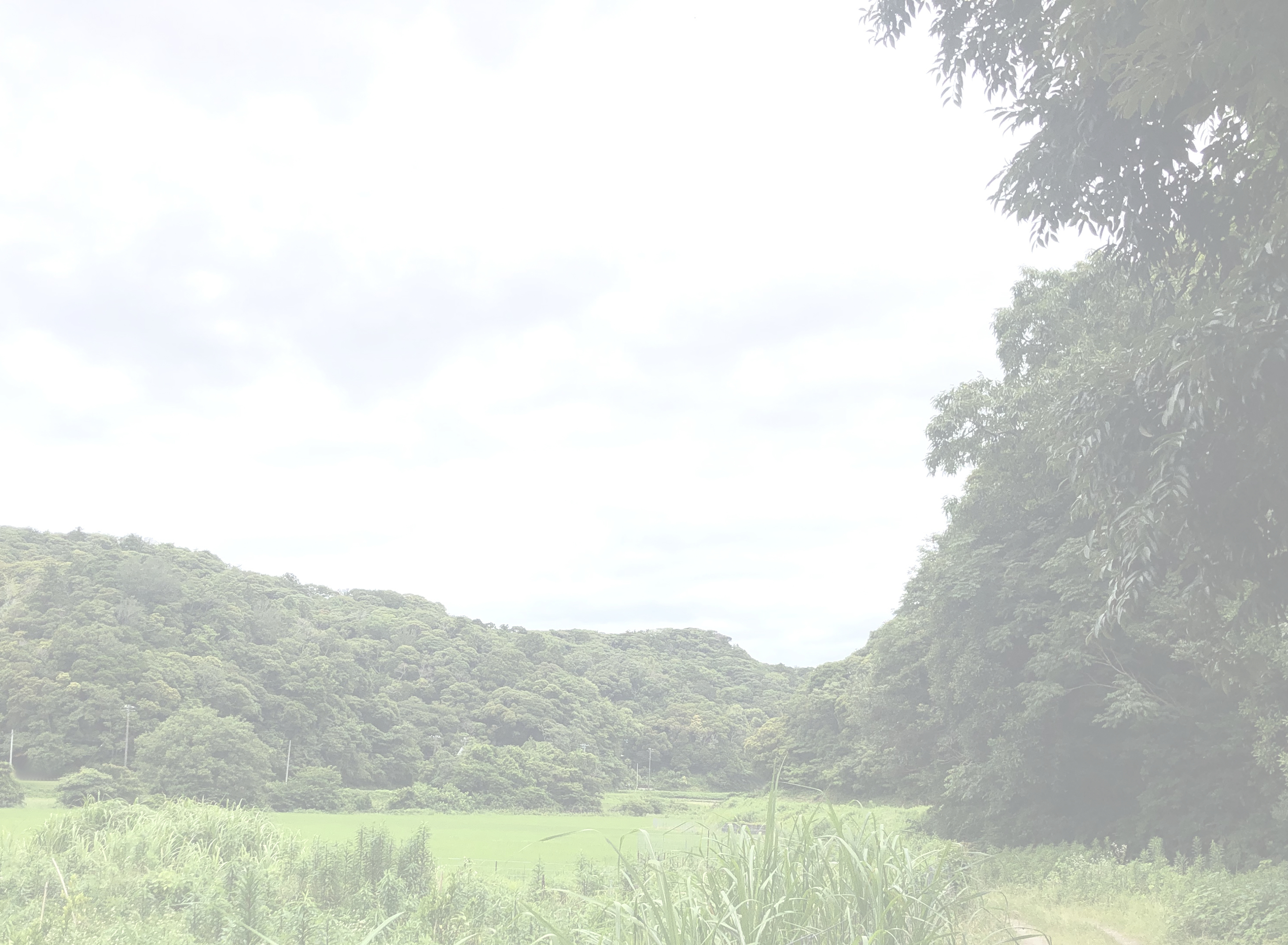 SANKAKU