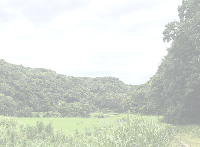 SANKAKU 館山 ジビエ 伝右衛門製作所