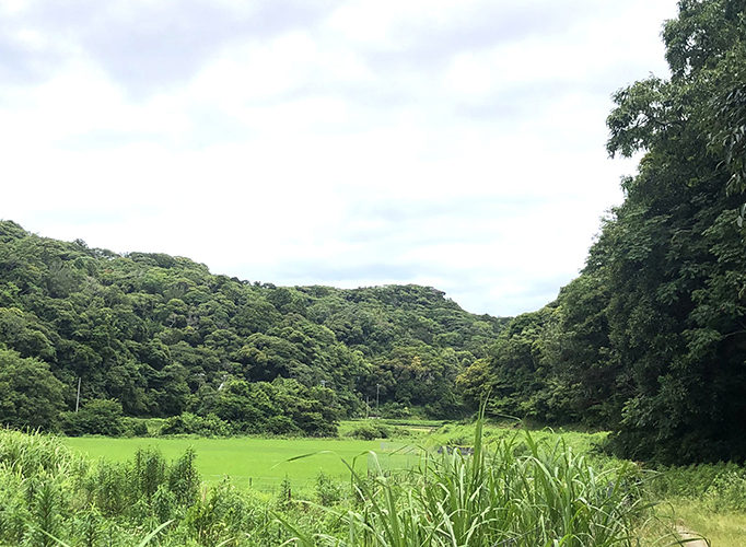 SANKAKU 館山 ジビエ 伝右衛門製作所